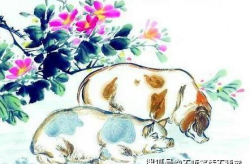 金玉良缘是什么生肖,探寻十二生肖中的美好姻缘象征”