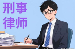 缓刑律师,法律智慧与人性温度的交织