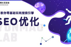 关键词优化课程,提升网站搜索引擎排名策略全解析