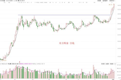 000155股票,2025年5月市场动态与投资分析概览