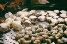 海鲜的成本价和销售价的区别是什么,揭秘市场定价背后的秘密