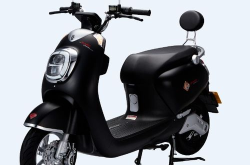 新日电动车官方网站,品质与创新引领绿色出行新时代