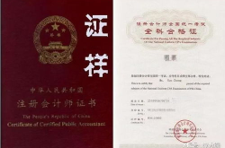 会计师从业资格证考试,报名条件、考试科目与备考策略