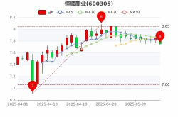 恒顺醋业股票,探寻调味品龙头企业的投资价值