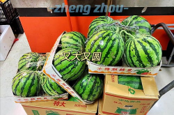 吃瓜娱乐郑州,趣味事件与美食文化交织的都市生活剪影”