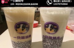 一只酸奶牛加盟,开启健康饮品创业新篇章