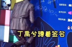 娱乐丁,揭秘娱乐圈背后的故事与精彩瞬间